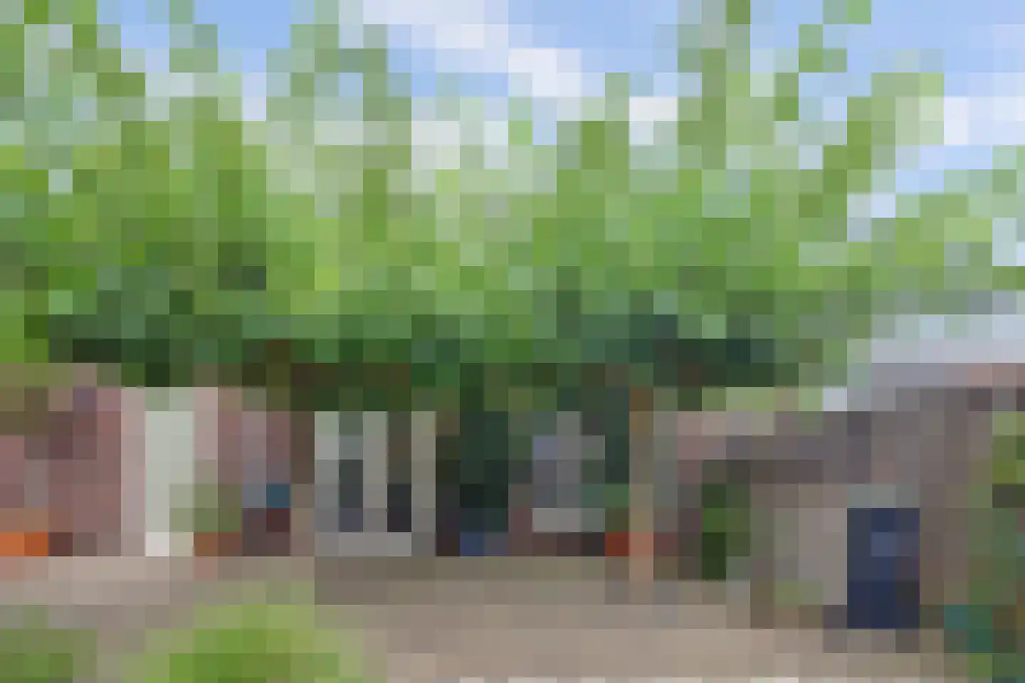 Bramhaar 2 Diepenveen thumbnail 48