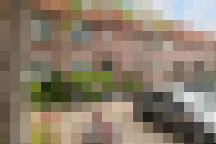 Bramstag 28 in Hellevoetsluis