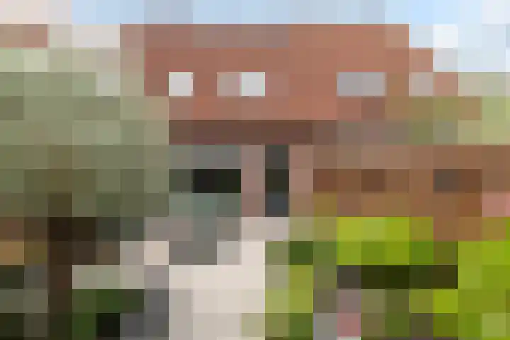 Bramstag 28 Hellevoetsluis thumbnail 8