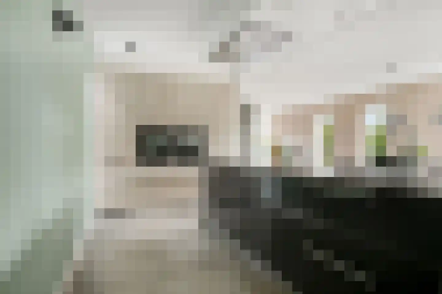 Bramzeil 22 Almere thumbnail 16