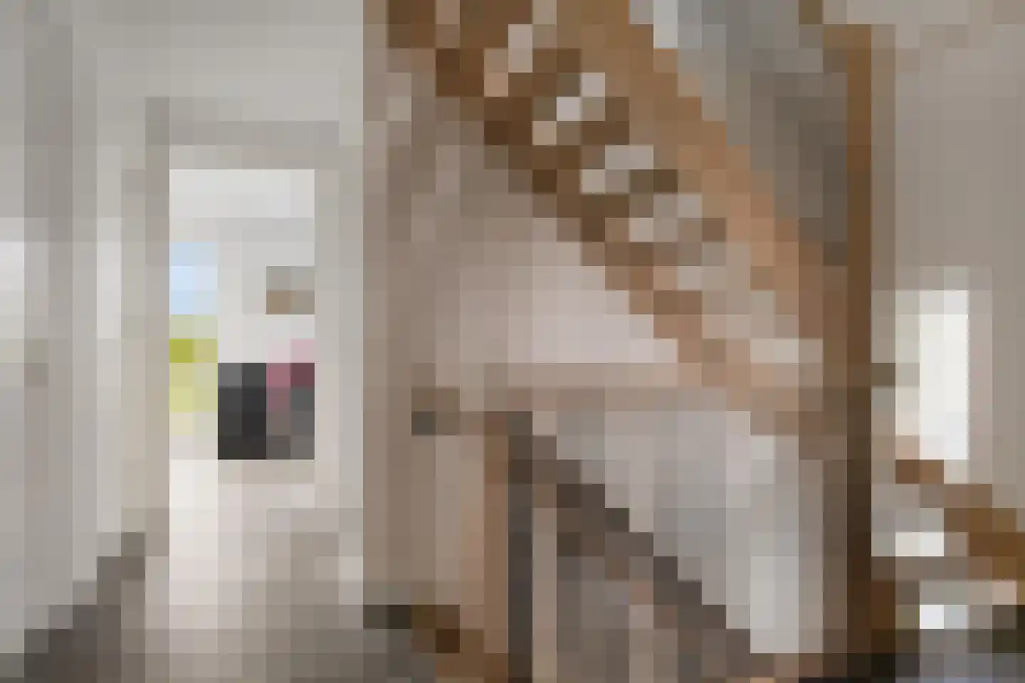 Bramzeil 22 Almere thumbnail 17