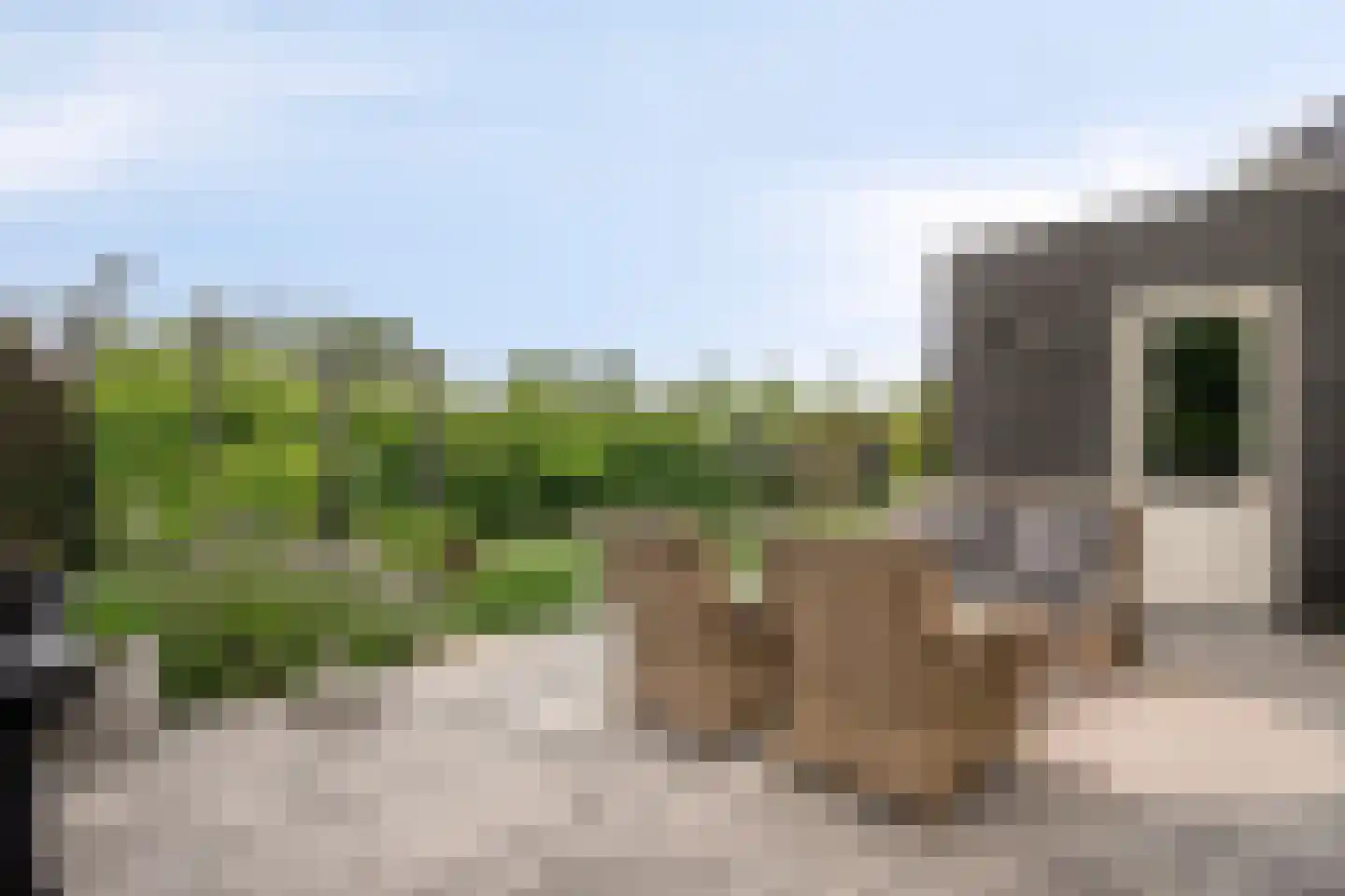 Bramzeil 22 Almere thumbnail 34