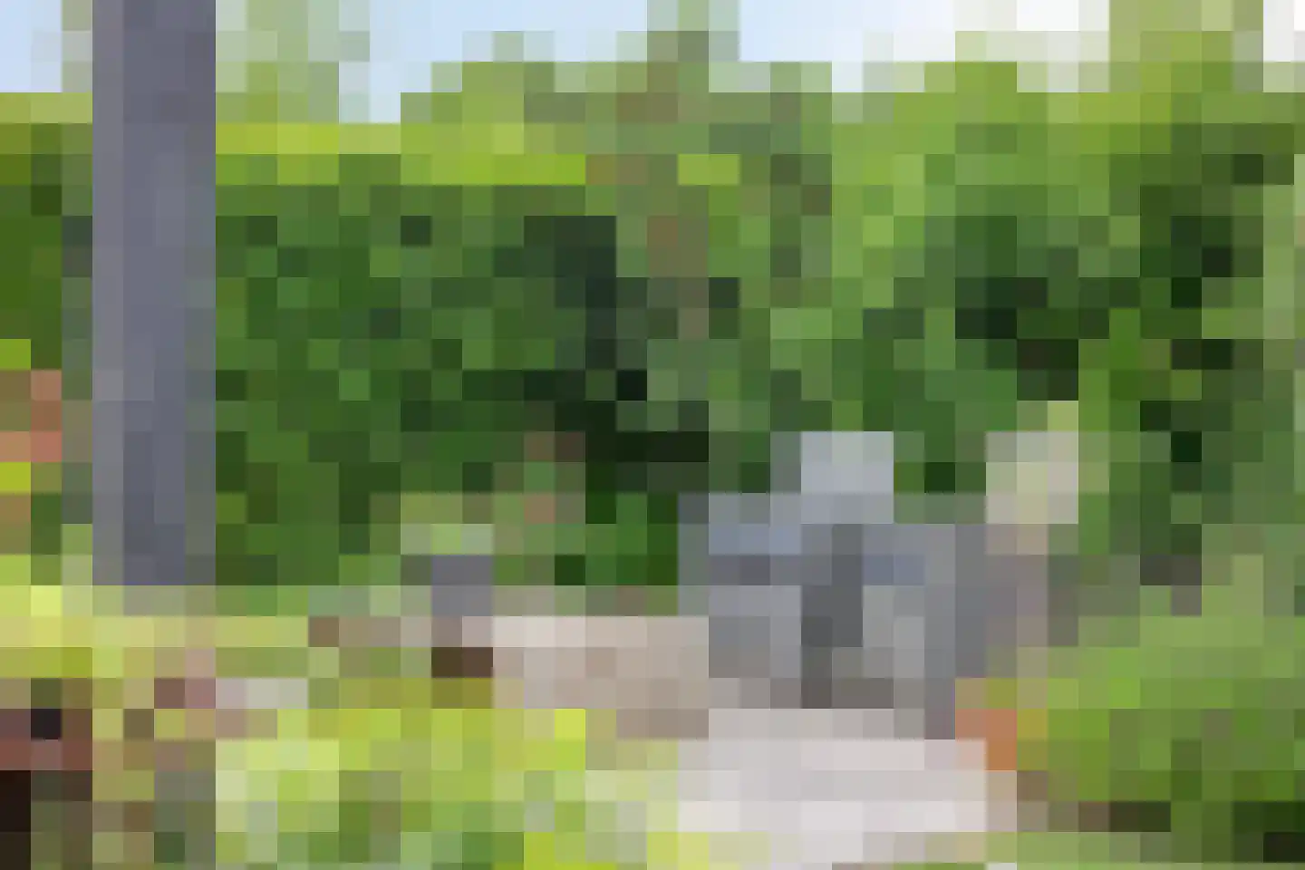 Bramzeil 22 Almere thumbnail 37