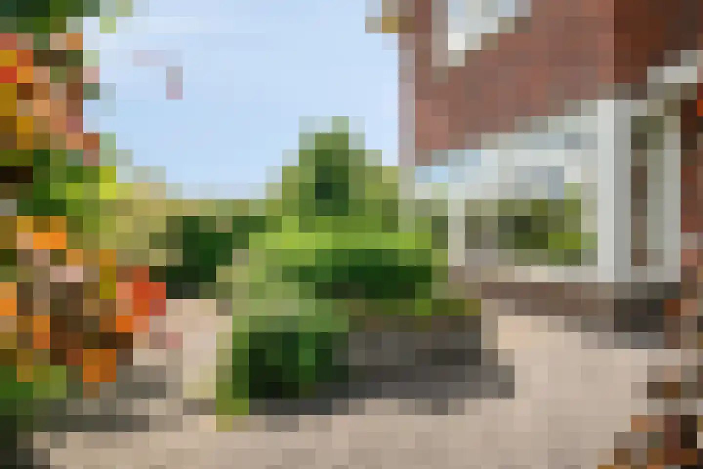 Bramzeil 22 Almere thumbnail 4