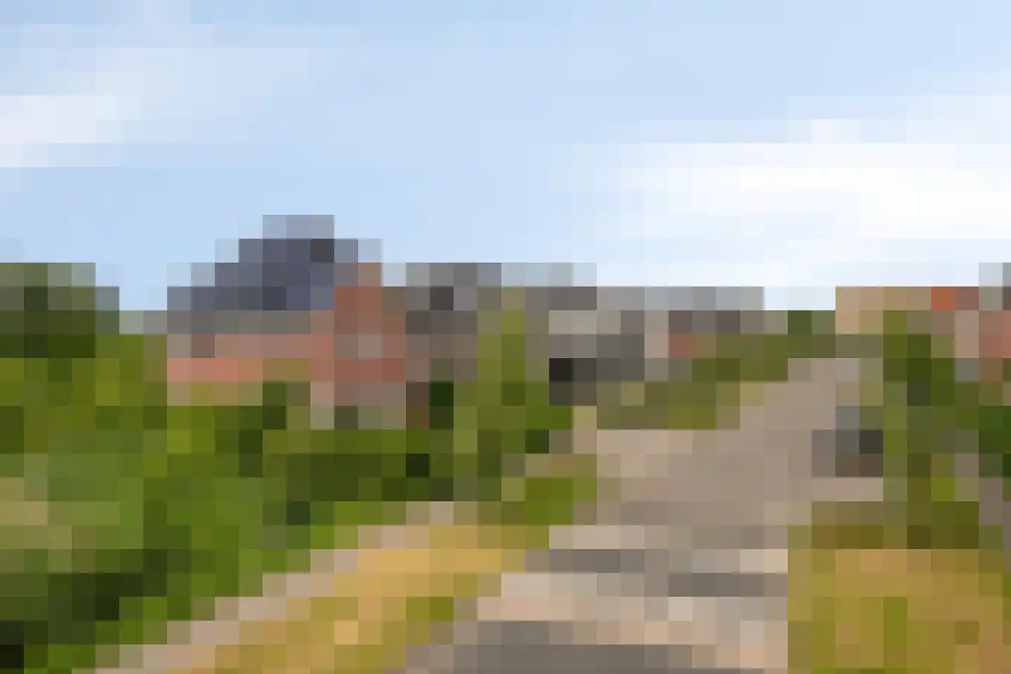 Bramzeil 22 Almere thumbnail 43