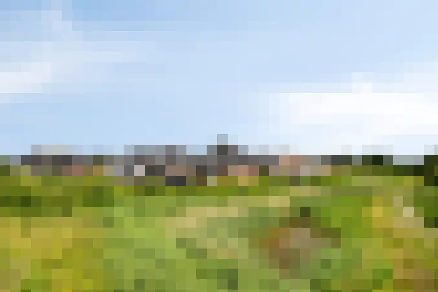 Bramzeil 22 Almere thumbnail 44