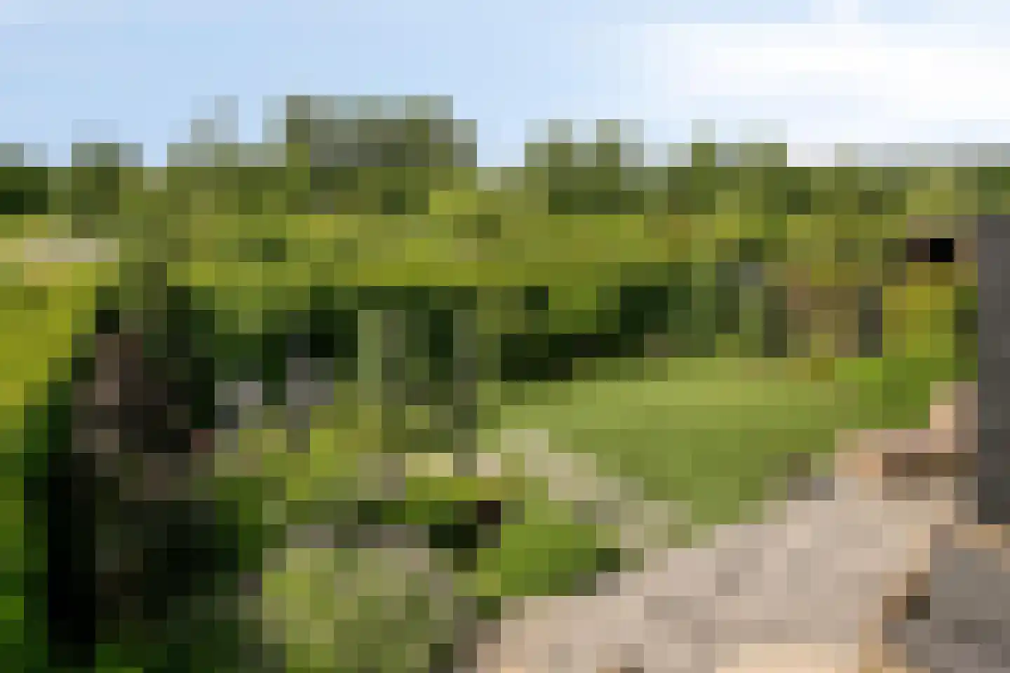 Bramzeil 22 Almere thumbnail 46