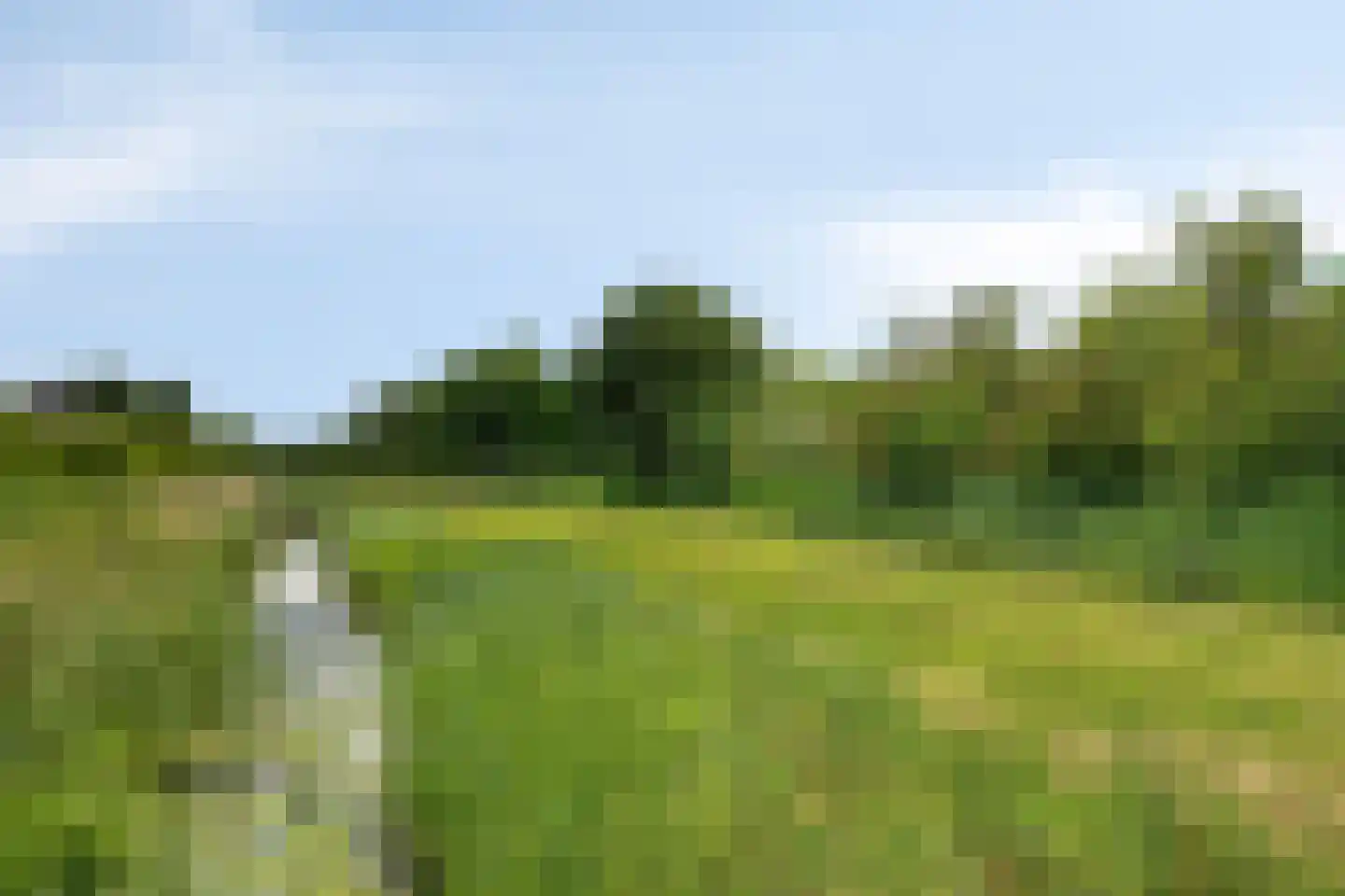Bramzeil 22 Almere thumbnail 49