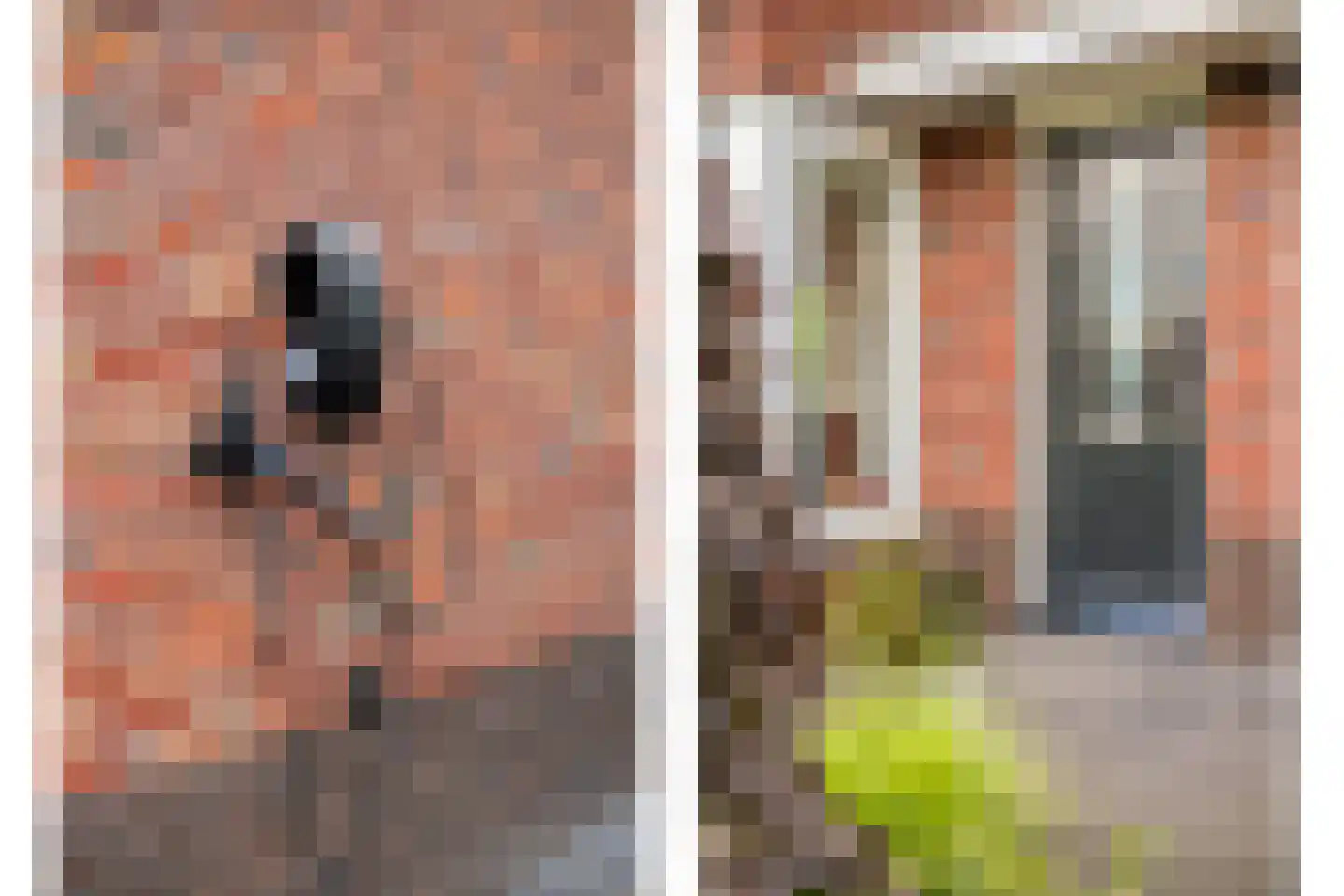 Bramzeil 22 Almere thumbnail 5