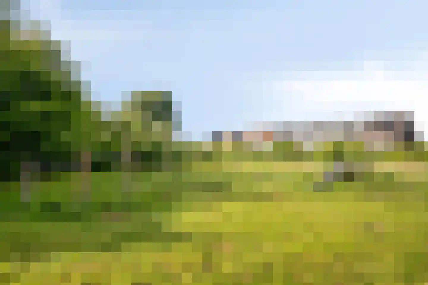 Bramzeil 22 Almere thumbnail 54