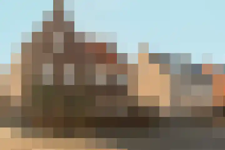 Bramzeil 3 Almere thumbnail 6