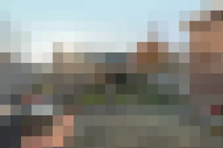 Bramzeil 3 Almere thumbnail 71