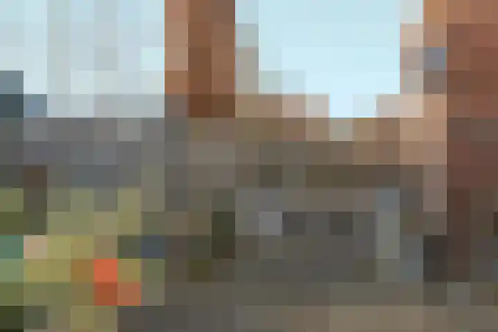 Bramzeil 3 Almere thumbnail 73