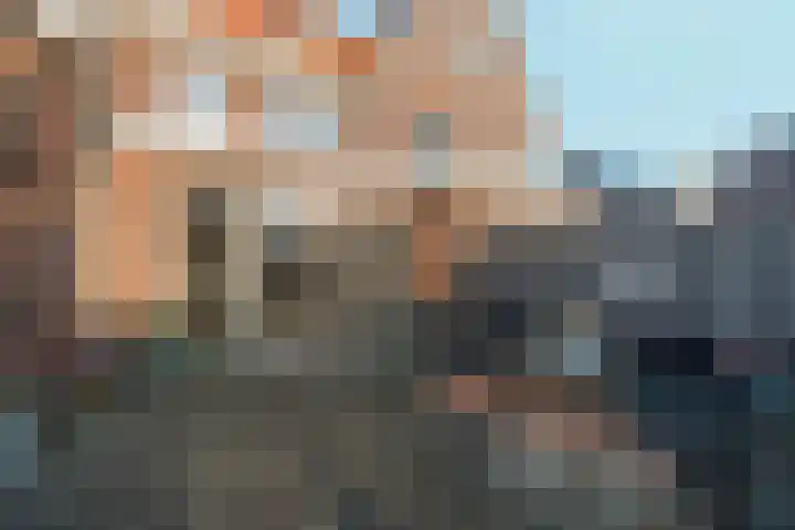 Bramzeil 3 Almere thumbnail 76