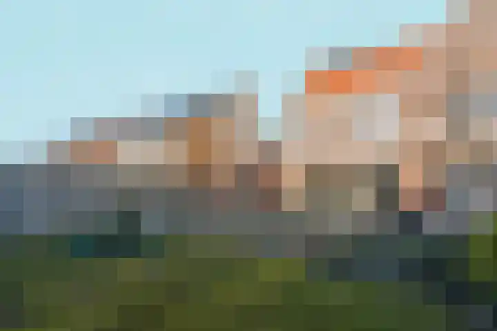 Bramzeil 3 Almere thumbnail 80