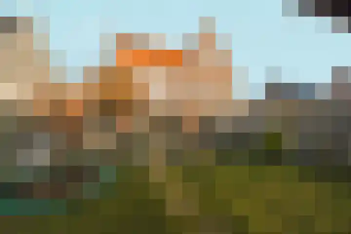 Bramzeil 3 Almere thumbnail 81