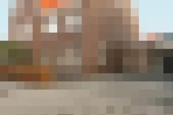 Bramzeil 3 Almere thumbnail 84