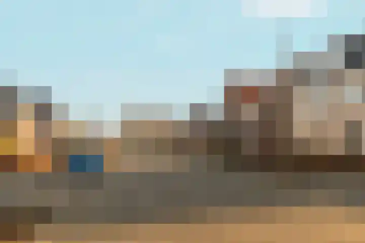 Bramzeil 3 Almere thumbnail 85