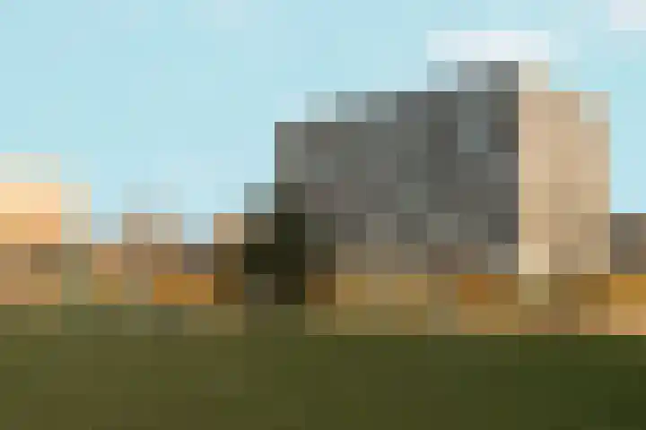 Bramzeil 3 Almere thumbnail 88