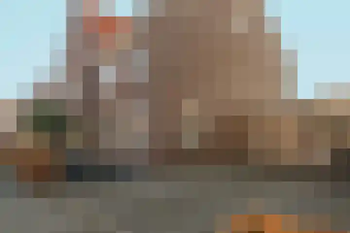 Bramzeil 3 Almere thumbnail 9