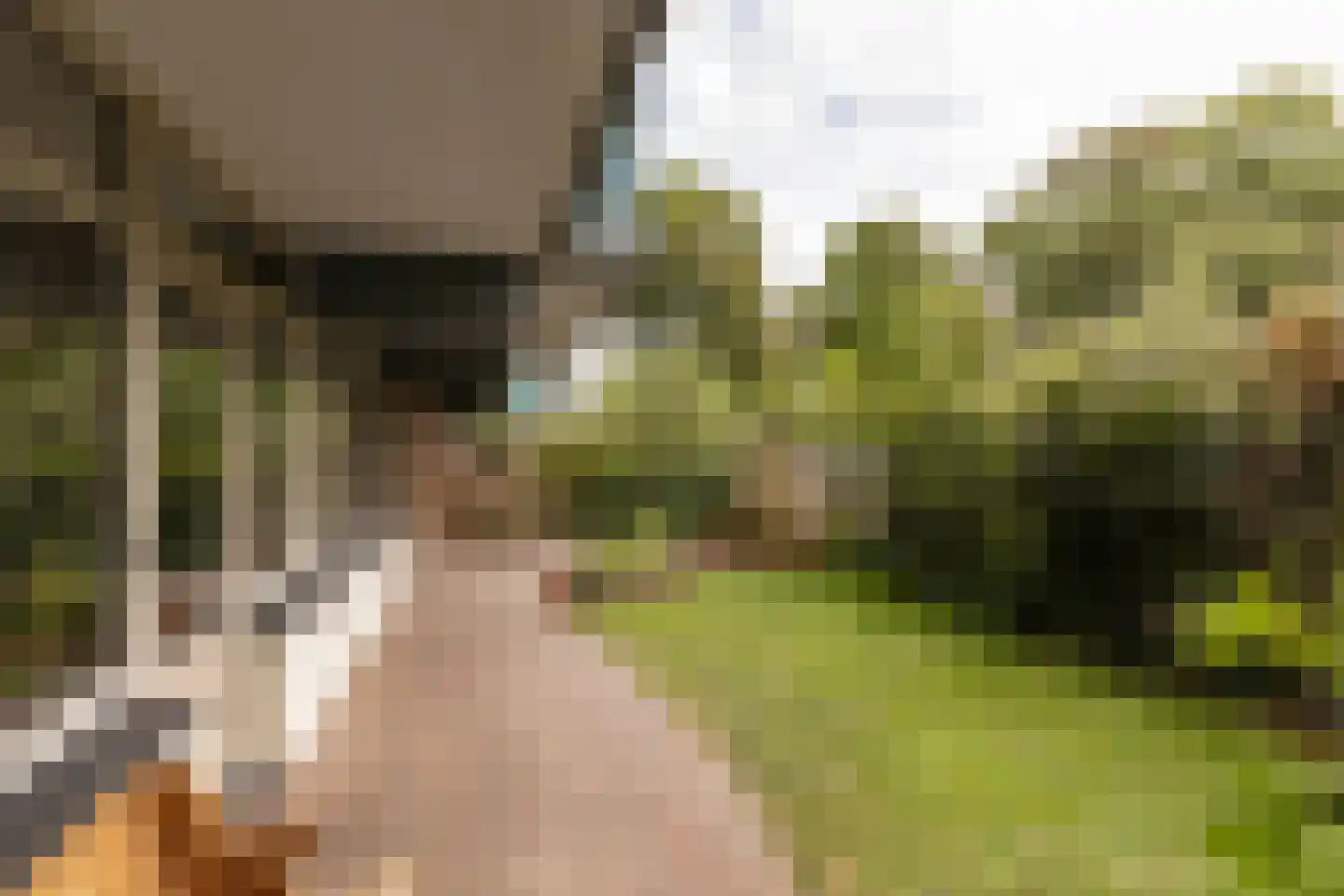 Bramzeilhof 10 Amsterdam thumbnail 14