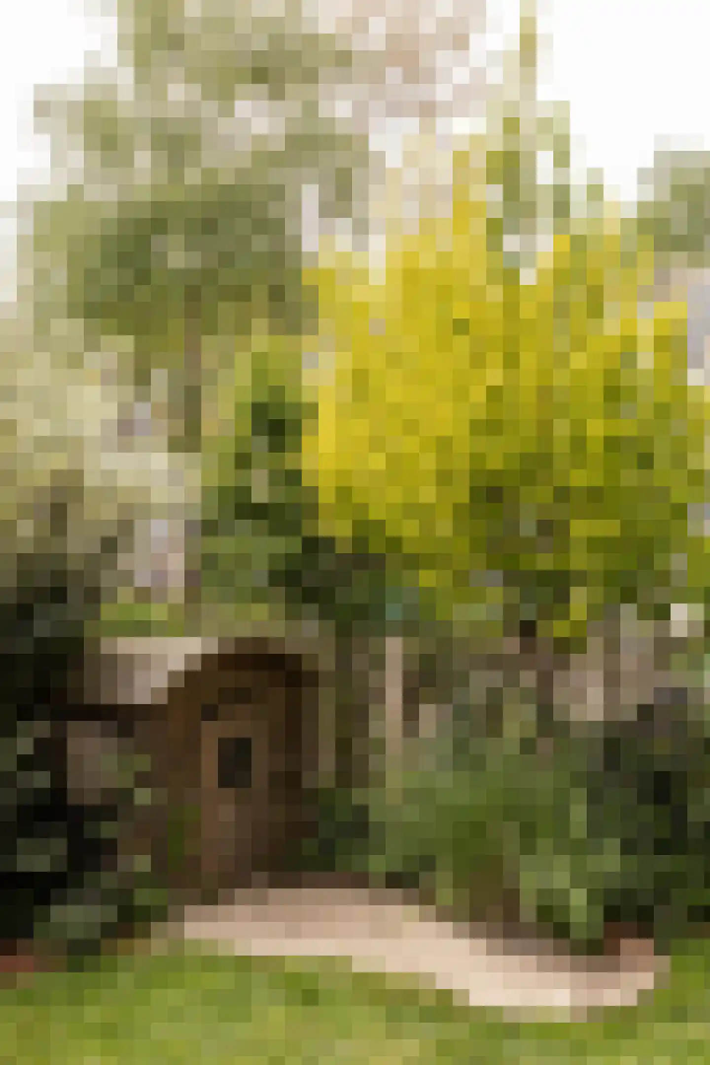 Bramzeilhof 10 Amsterdam thumbnail 15