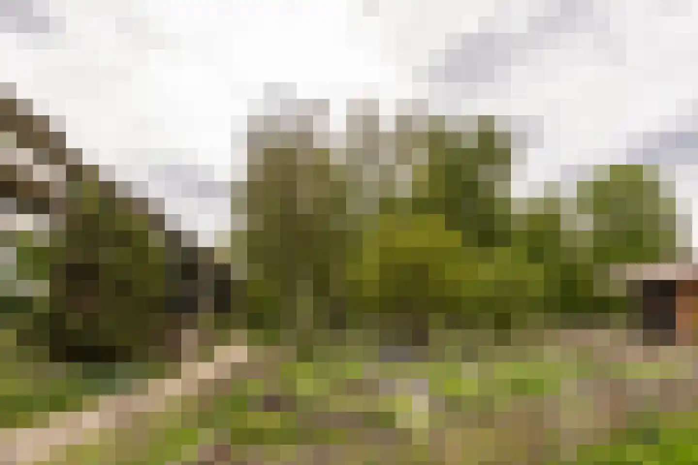 Bramzeilhof 10 Amsterdam thumbnail 24