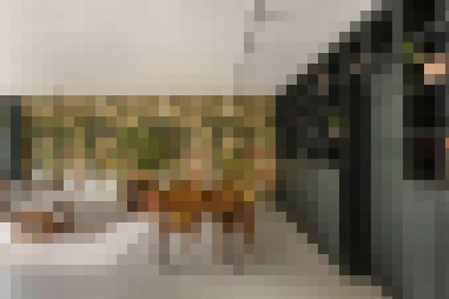 Bramzeilhof 10 Amsterdam thumbnail 7