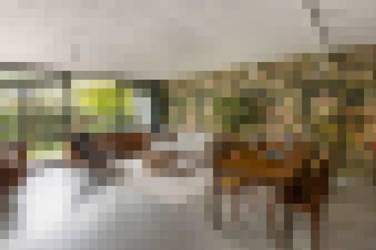 Bramzeilhof 10 Amsterdam thumbnail 8