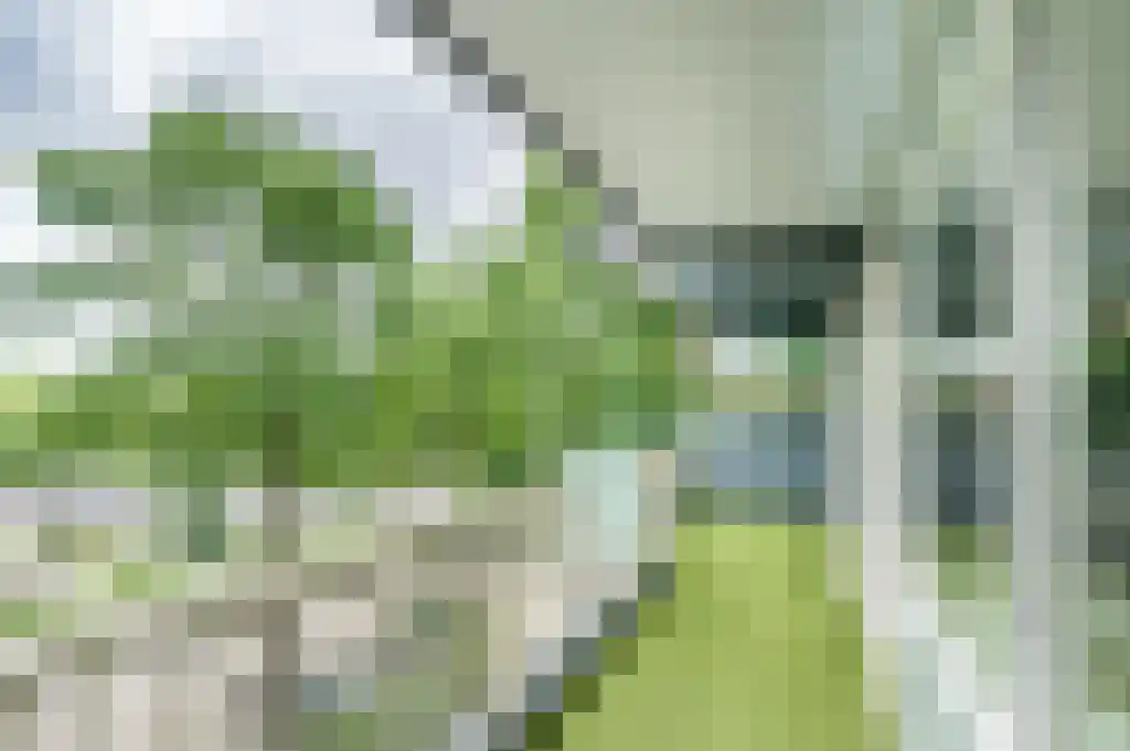 Bramzeilhof 108 Amsterdam thumbnail 4
