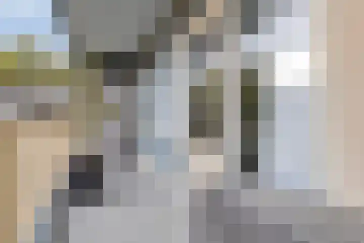 Bramzeilhof 14 Amsterdam thumbnail 19