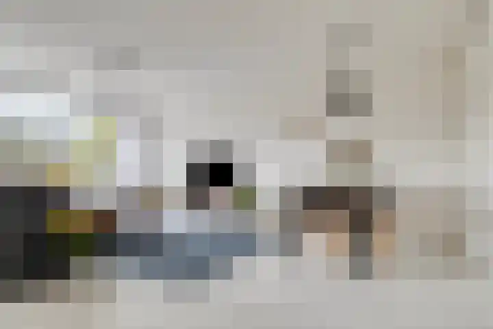 Bramzeilhof 14 Amsterdam thumbnail 5