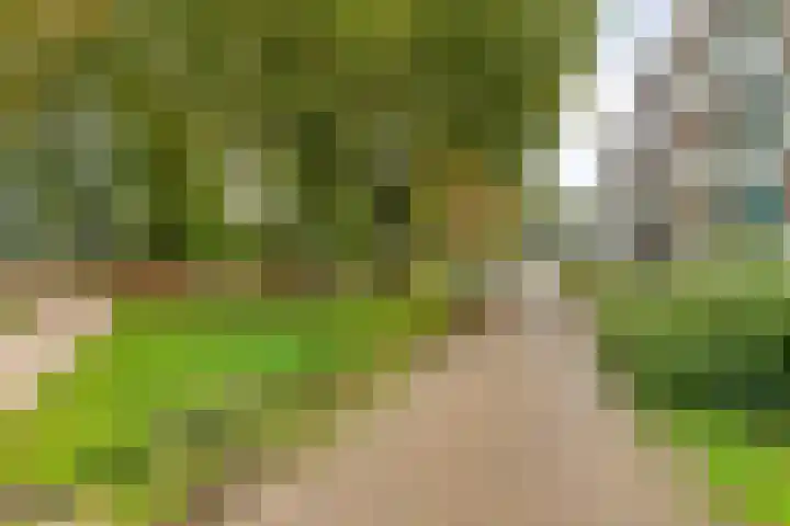 Bramzeilhof 30 Amsterdam thumbnail 28