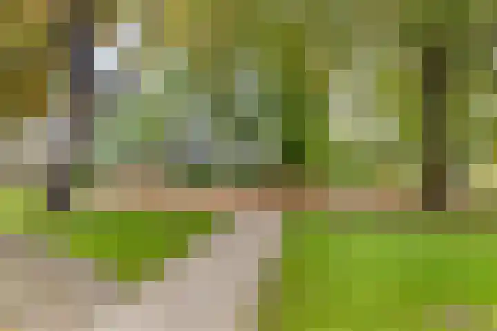 Bramzeilhof 30 Amsterdam thumbnail 29