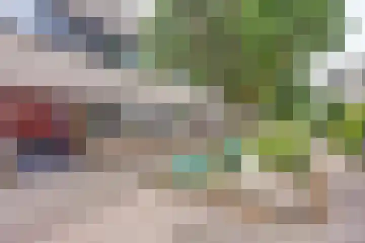 Branco 106 Dordrecht thumbnail 32