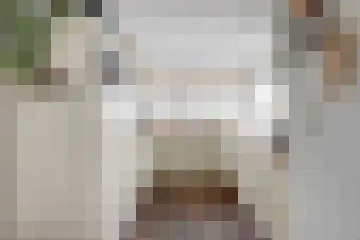 Branco 106 Dordrecht thumbnail 5