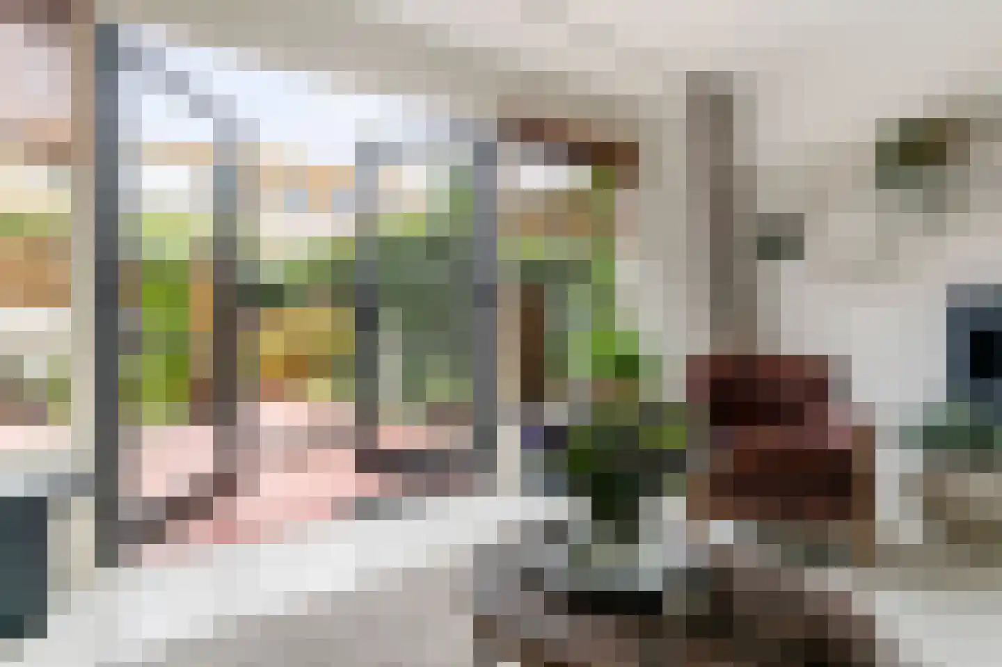 Branco 113 Dordrecht thumbnail 11