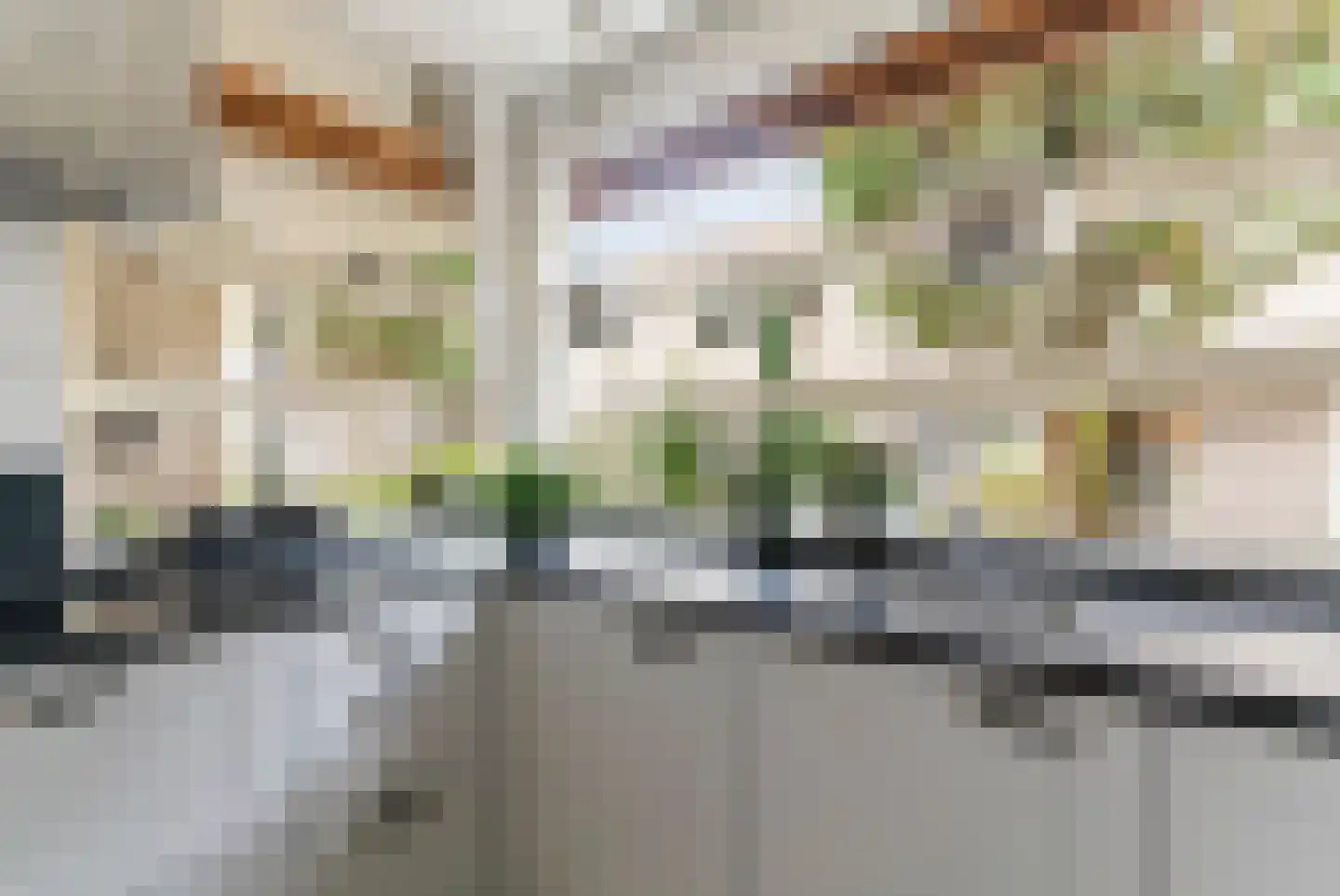 Branco 113 Dordrecht thumbnail 17