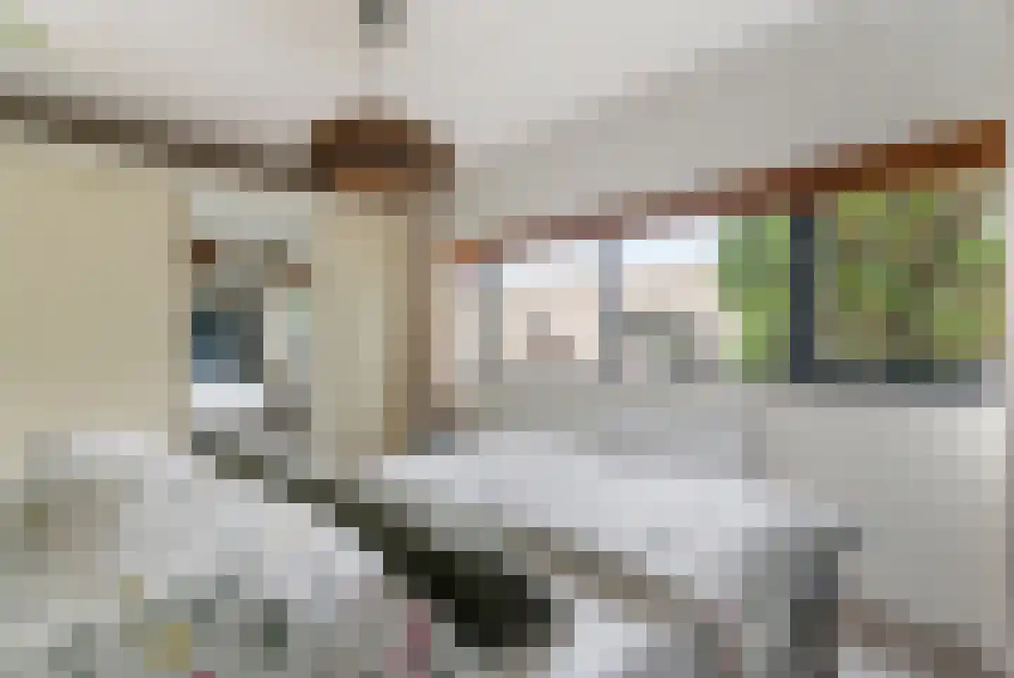 Branco 113 Dordrecht thumbnail 22