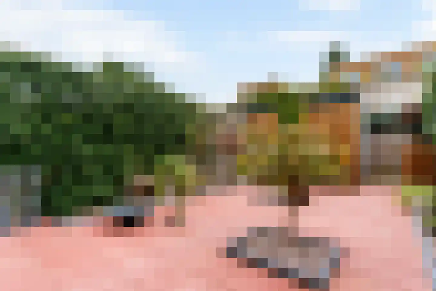 Branco 113 Dordrecht thumbnail 35
