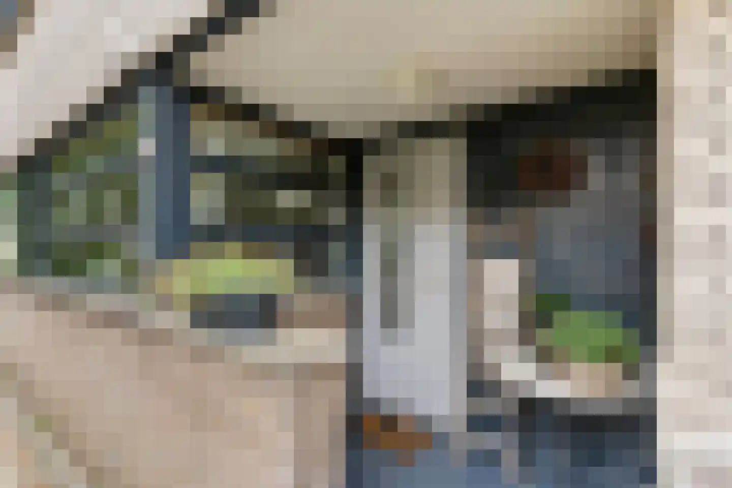 Branco 113 Dordrecht thumbnail 6