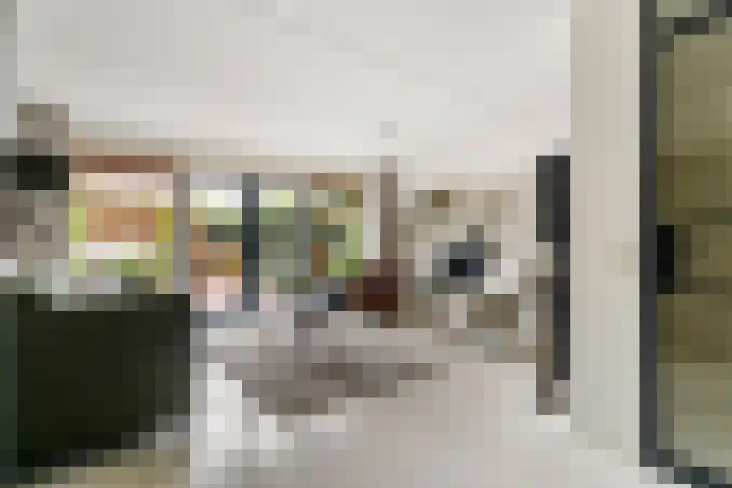 Branco 113 Dordrecht thumbnail 8