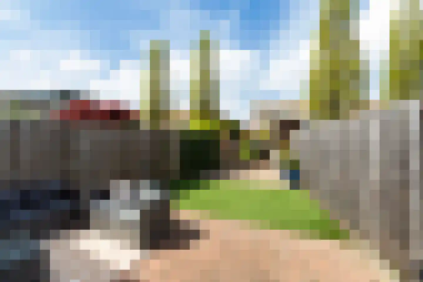 Branco 132 Dordrecht thumbnail 4