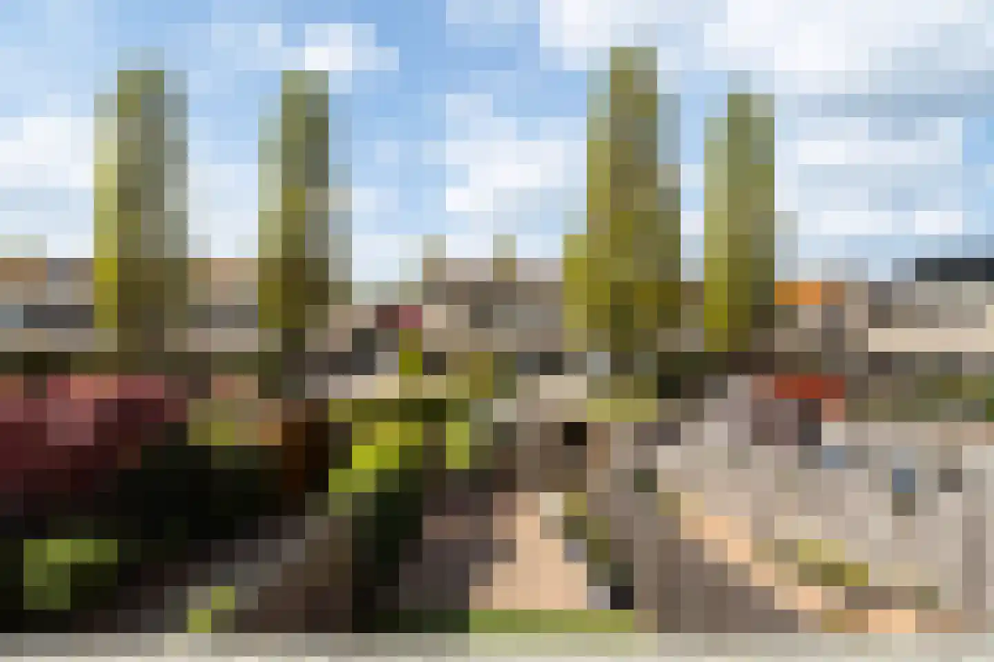 Branco 132 Dordrecht thumbnail 41