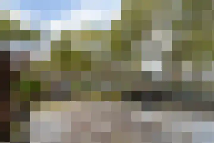 Branco 162 Dordrecht thumbnail 23