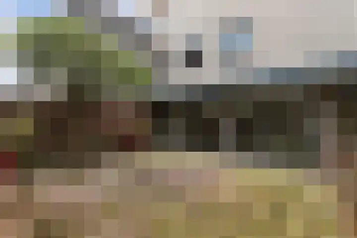 Branco 162 Dordrecht thumbnail 30