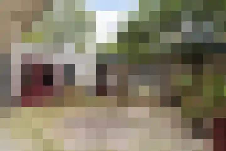 Branco 162 Dordrecht thumbnail 31