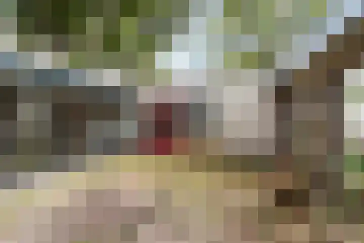 Branco 162 Dordrecht thumbnail 32