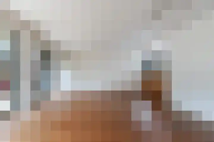 Branco 162 Dordrecht thumbnail 9