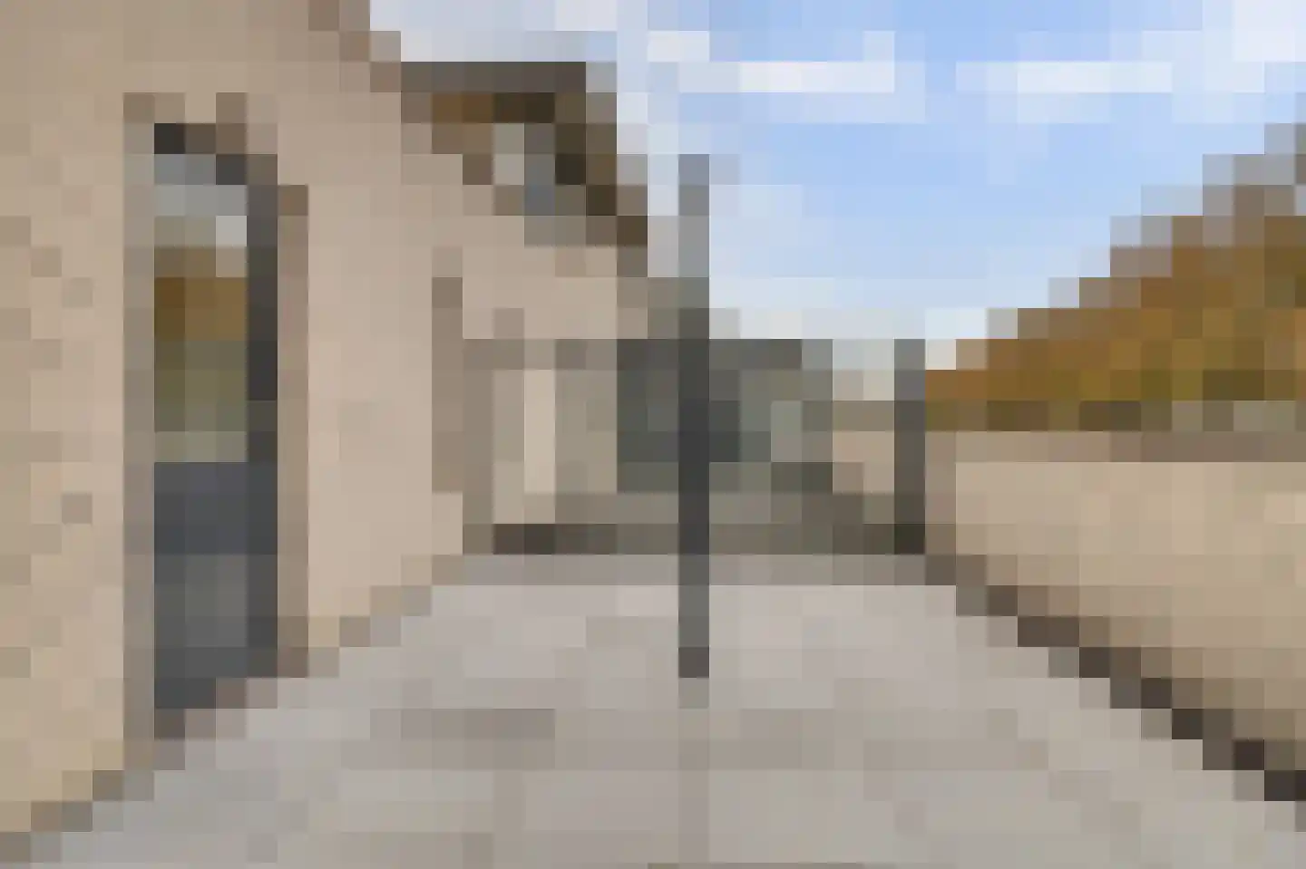 Branco 19 Dordrecht thumbnail 28
